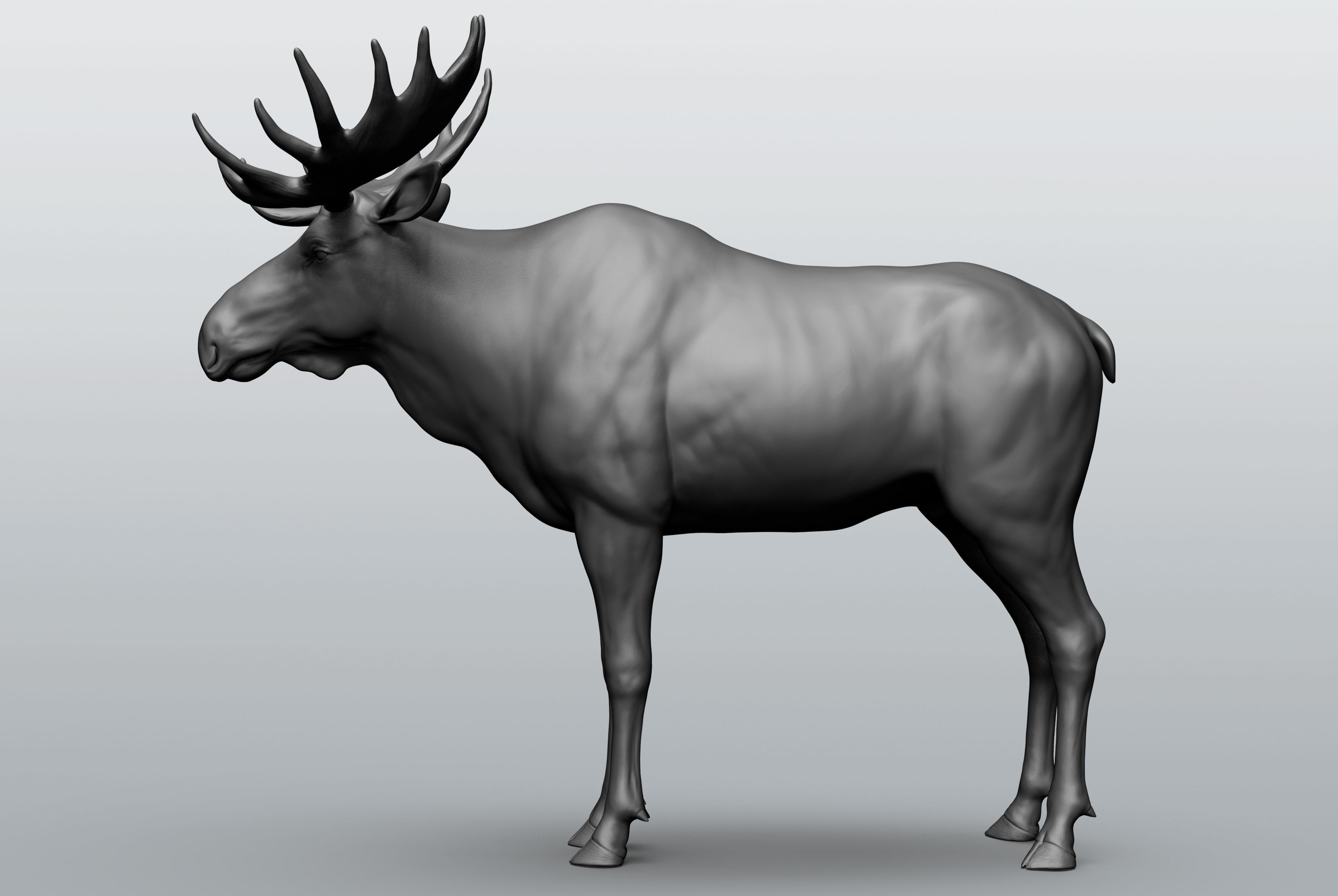 Wild animal collection - 10 animals VOL-3 3D model_15