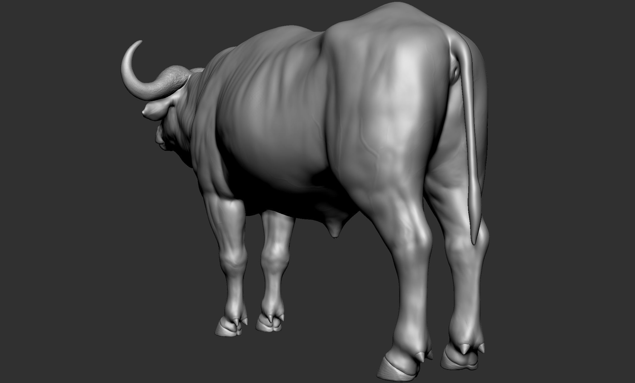 Wild animal collection - 10 animals VOL-3 3D model_11