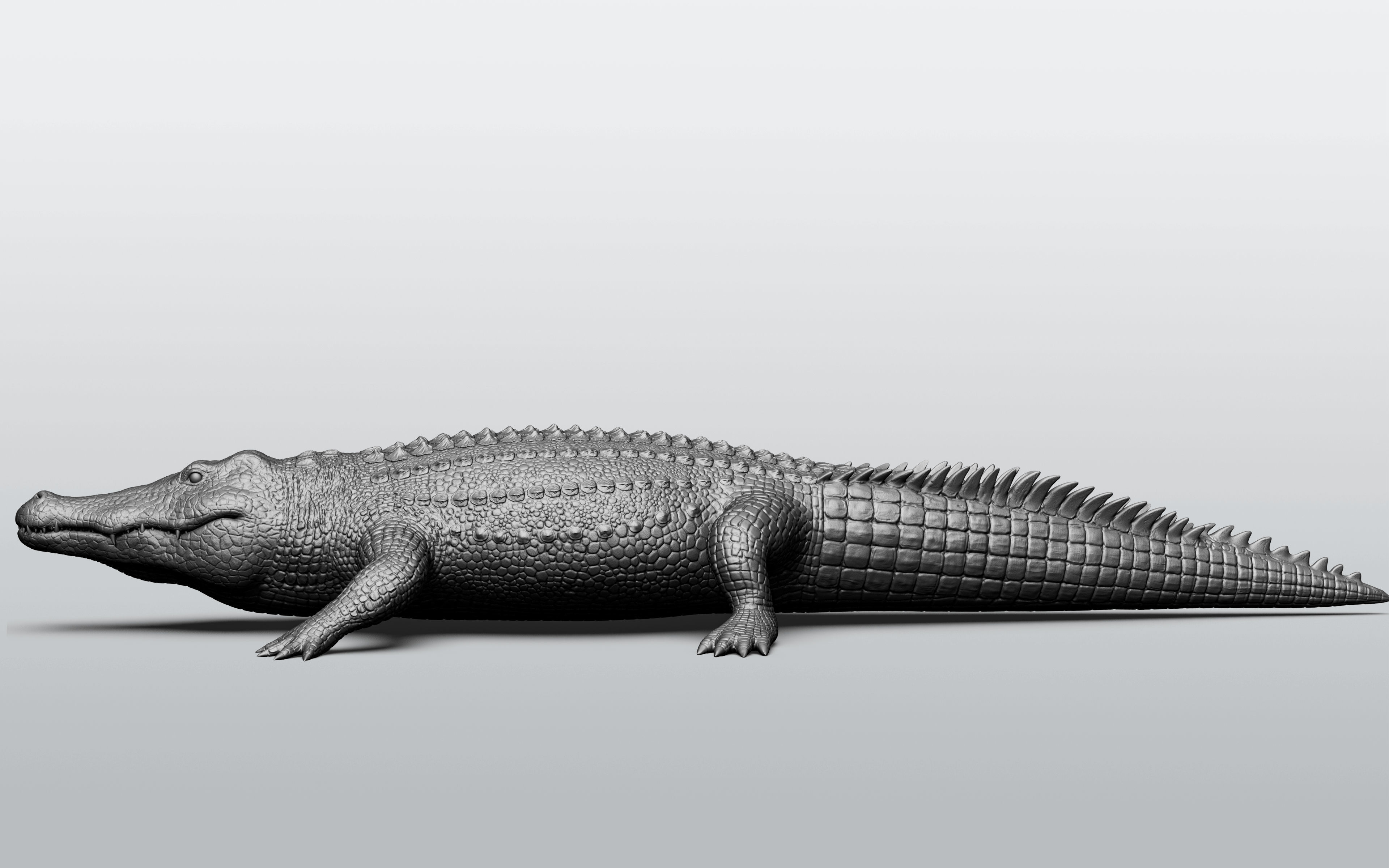 Wild animal collection - 10 animals VOL-3 3D model_71