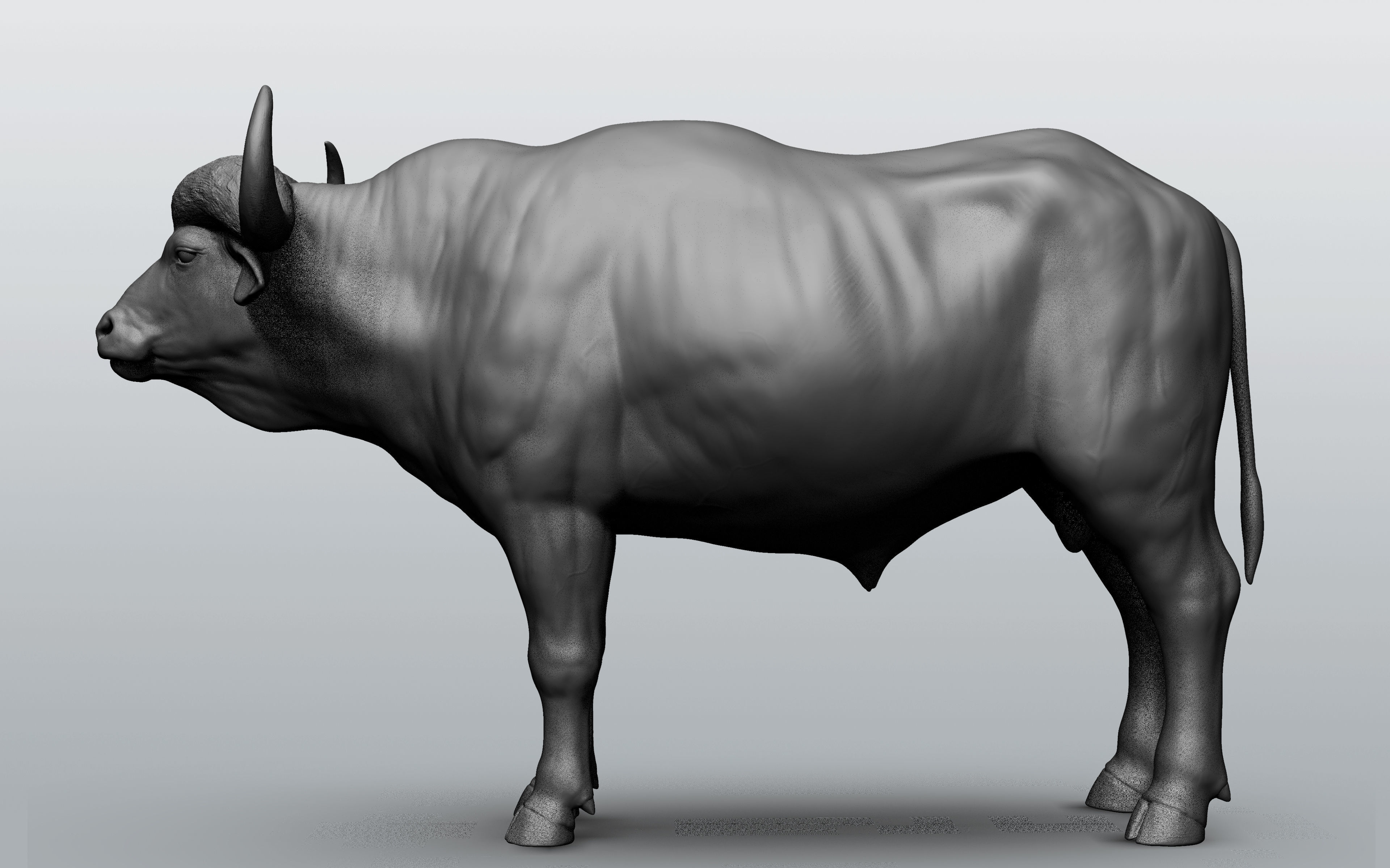 Wild animal collection - 10 animals VOL-3 3D model_4