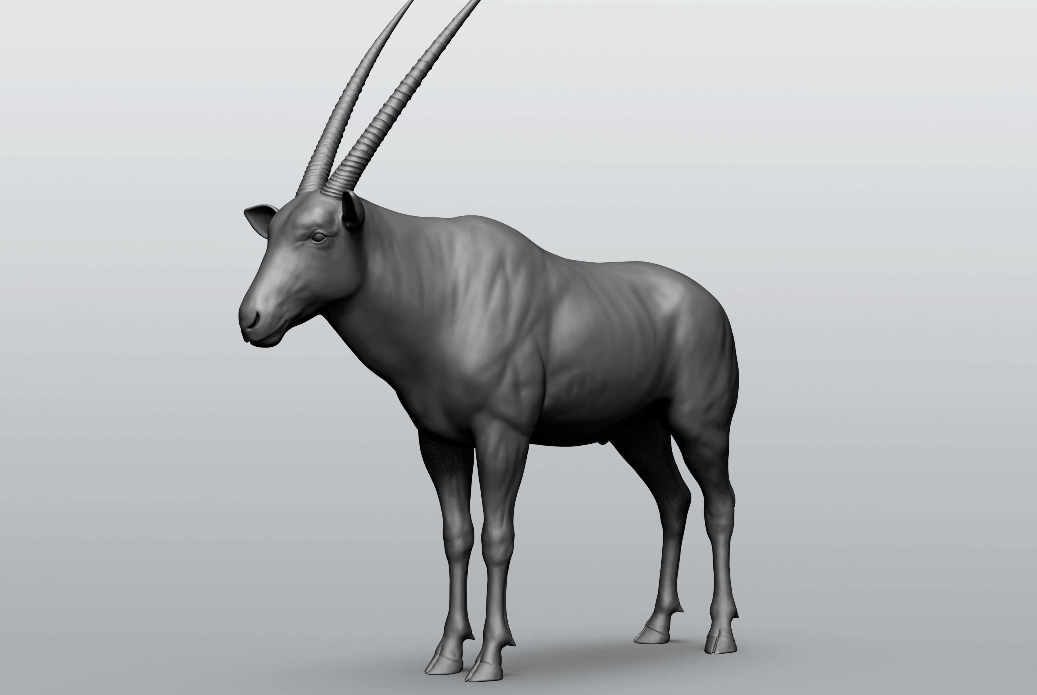 Wild animal collection - 10 animals VOL-3 3D model_46