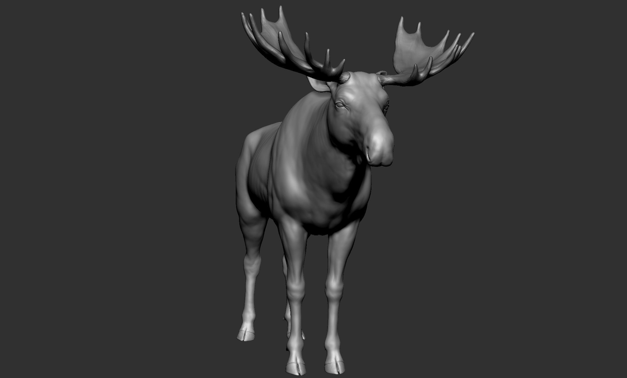 Wild animal collection - 10 animals VOL-3 3D model_18