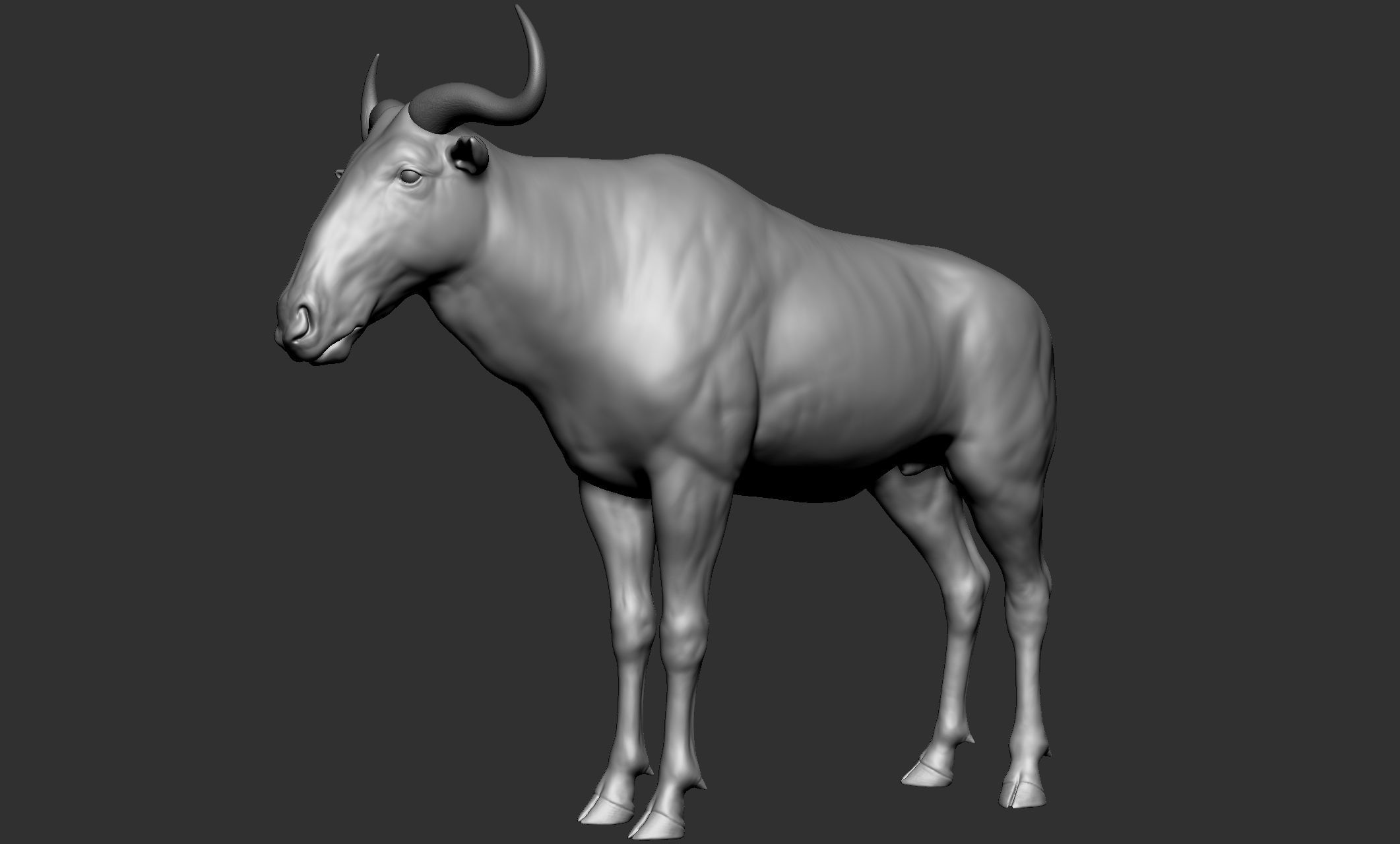 Wild animal collection - 10 animals VOL-3 3D model_39