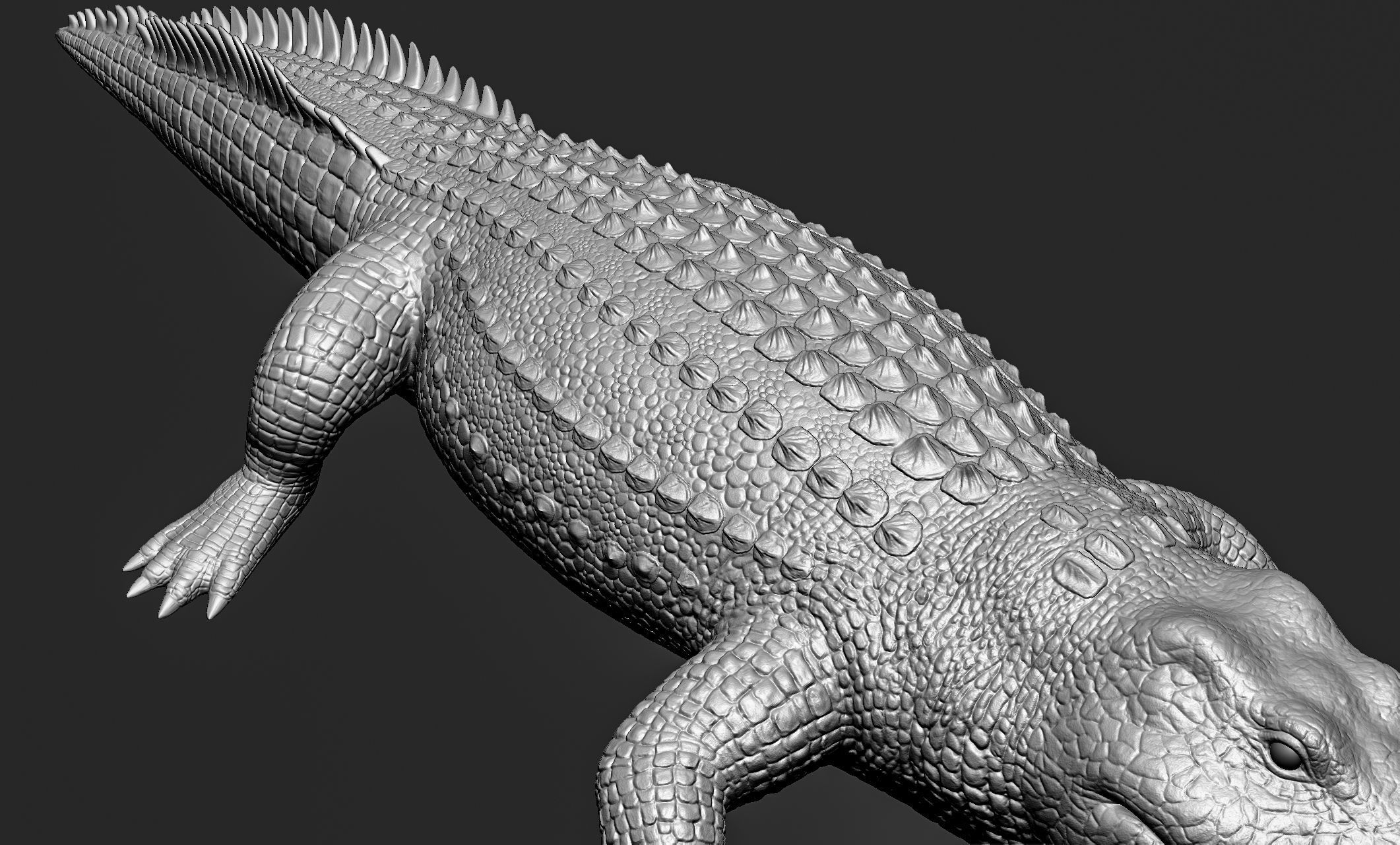 Wild animal collection - 10 animals VOL-3 3D model_81