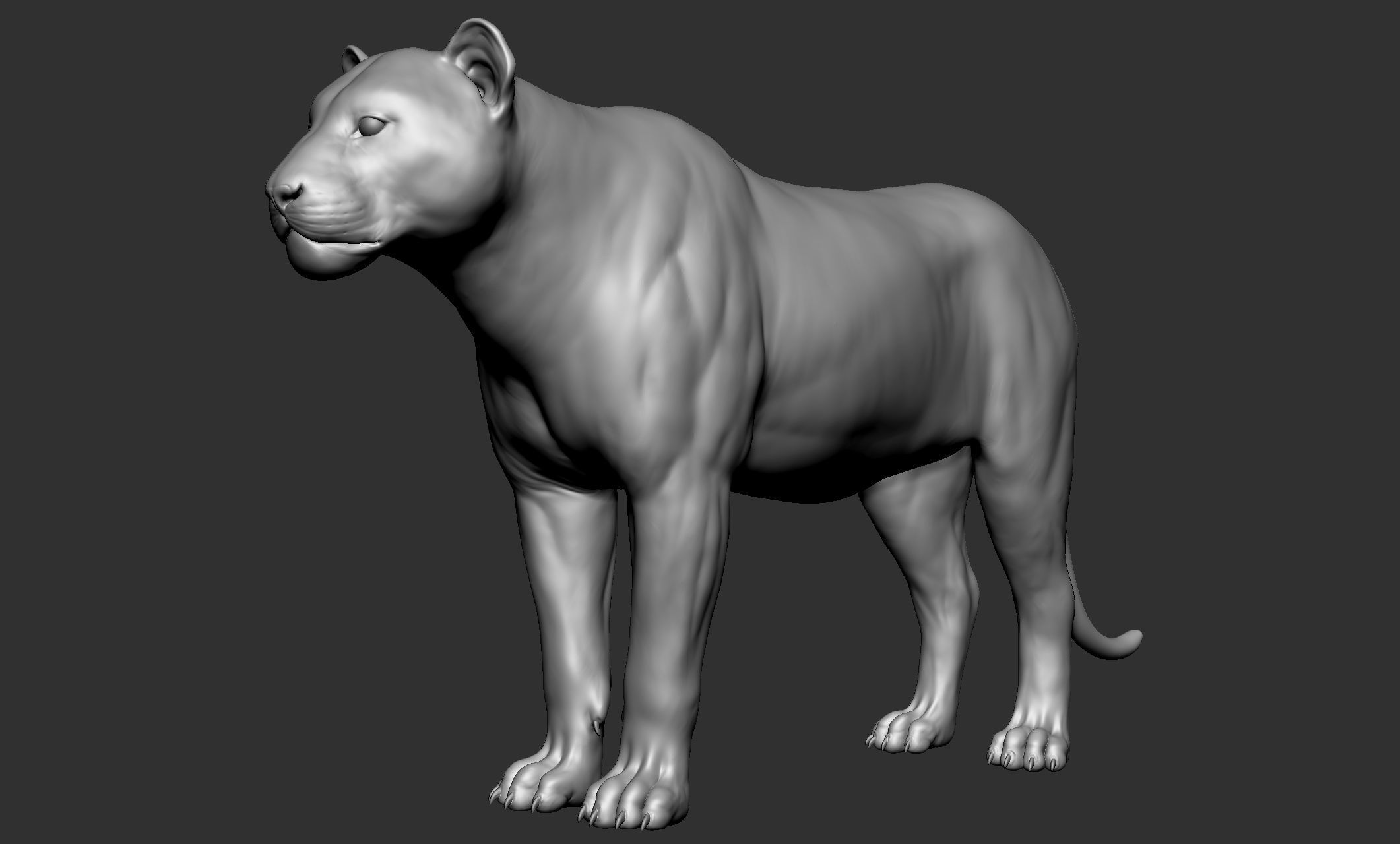 Wild animal collection - 10 animals VOL-3 3D model_29