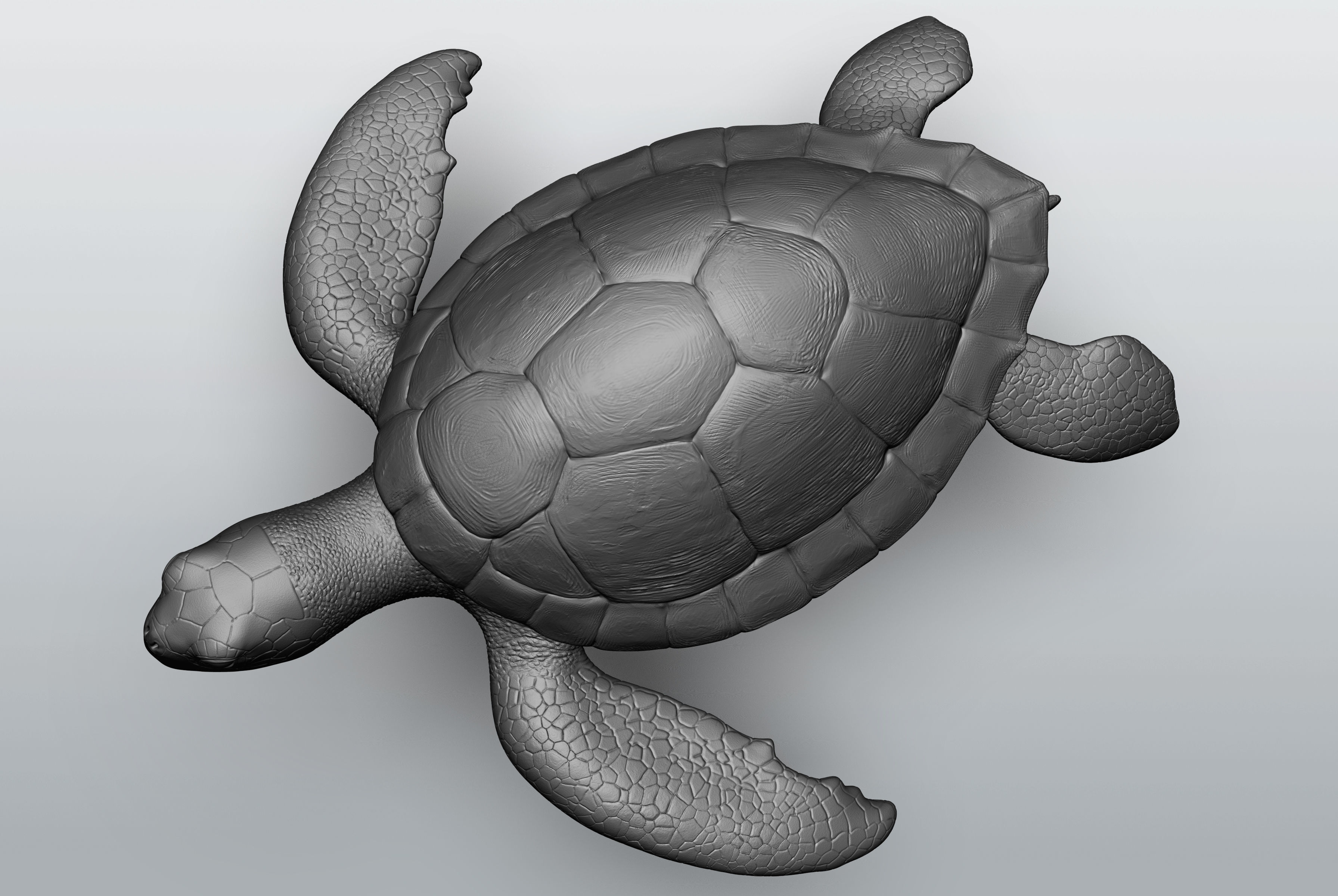 Wild animal collection - 10 animals VOL-3 3D model_55