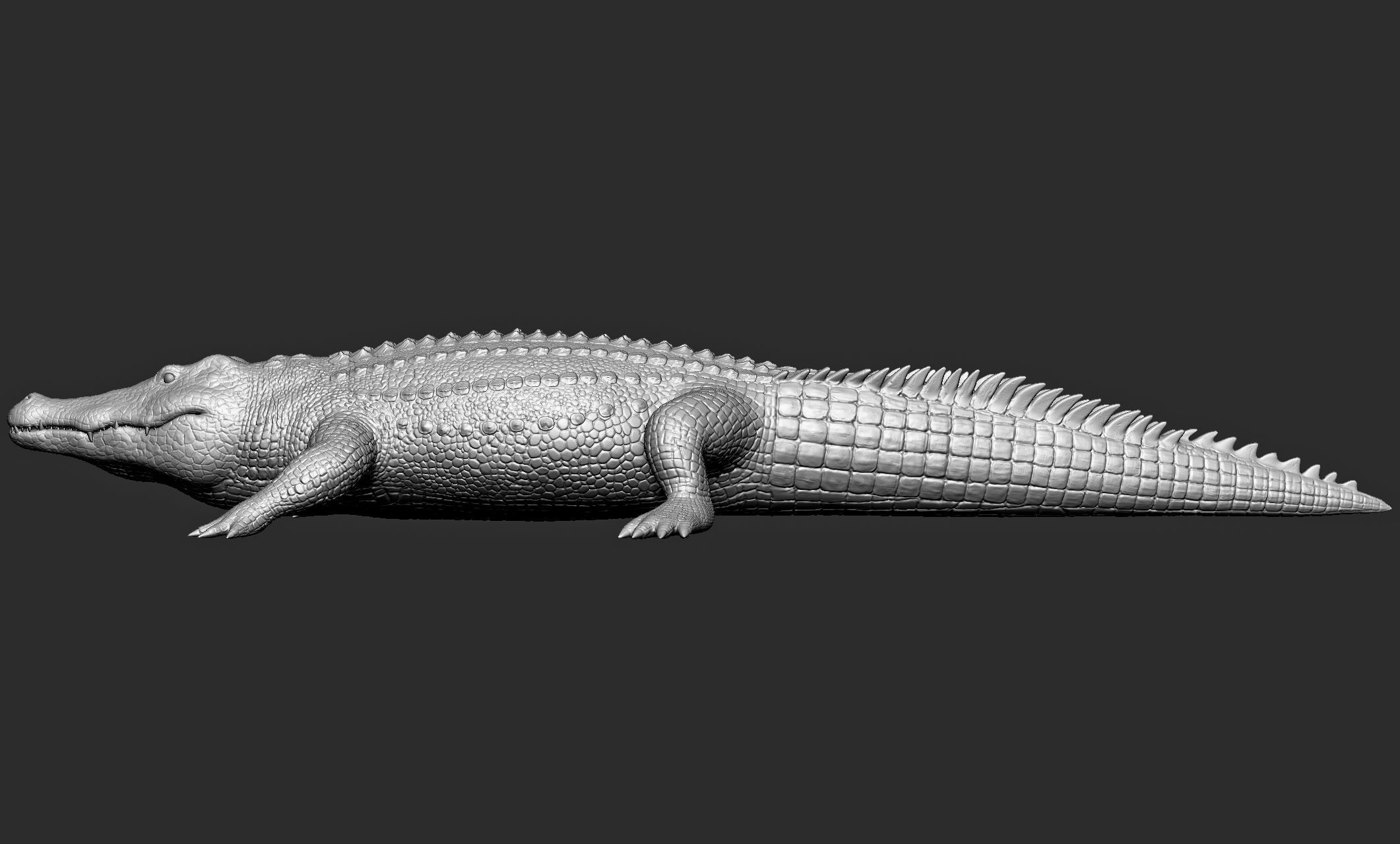 Wild animal collection - 10 animals VOL-3 3D model_79