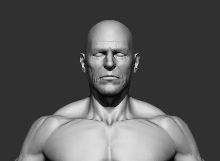 Male Anatomy 3D model