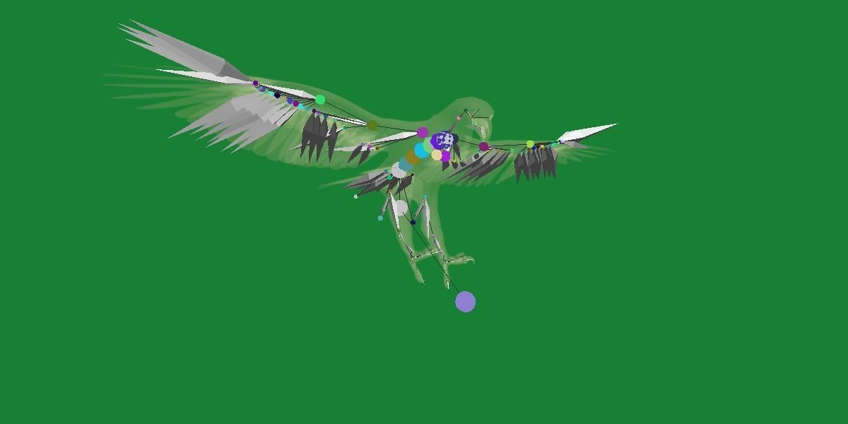 Bald Eagle BIrd 3D model_16