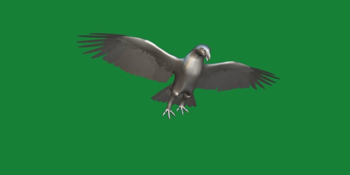 Bald Eagle BIrd 3D model_6