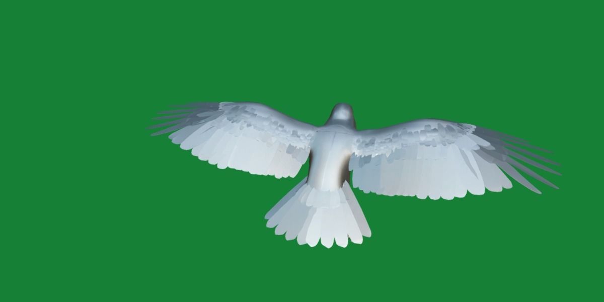 Bald Eagle BIrd 3D model_7