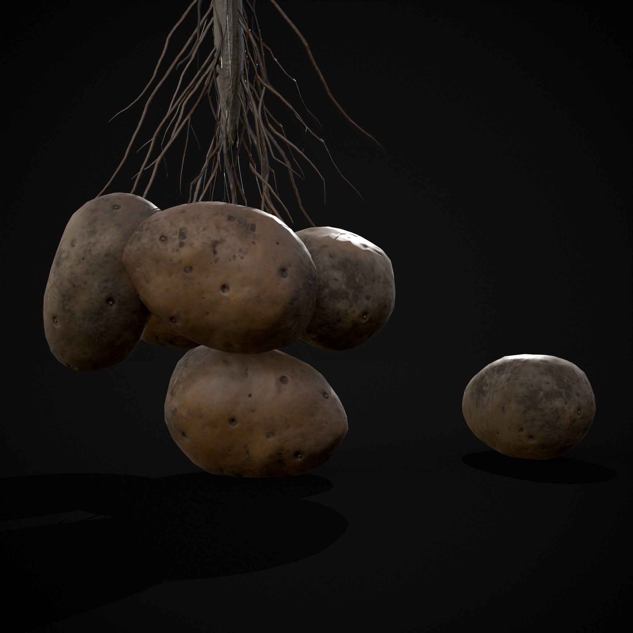 Potato Plant Low-poly 3D model_5