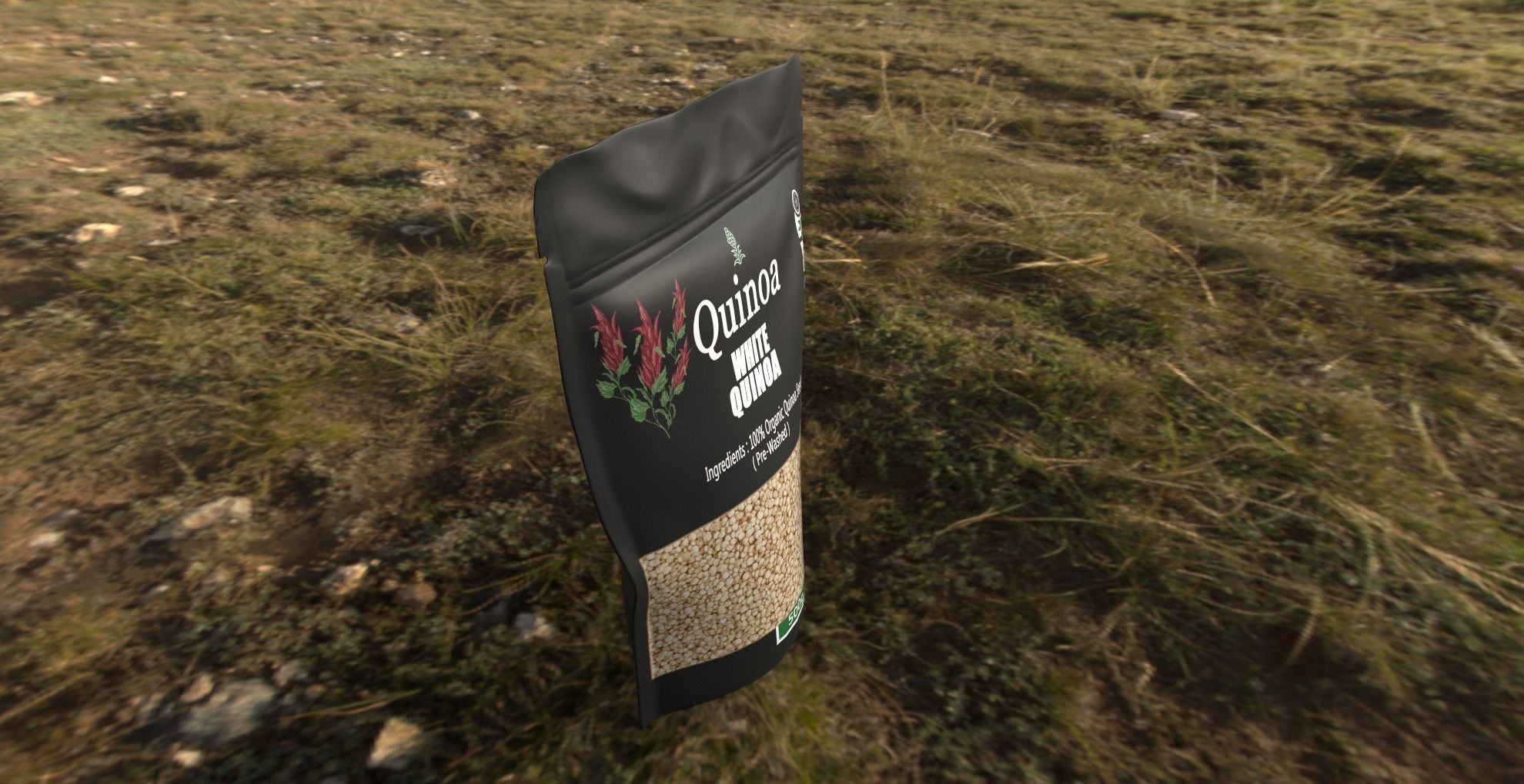 Quinoa Low-poly 3D model_10