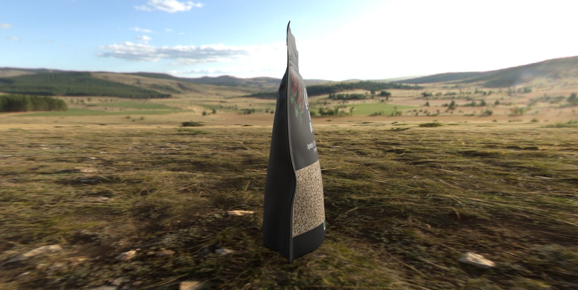 Quinoa Low-poly 3D model_6