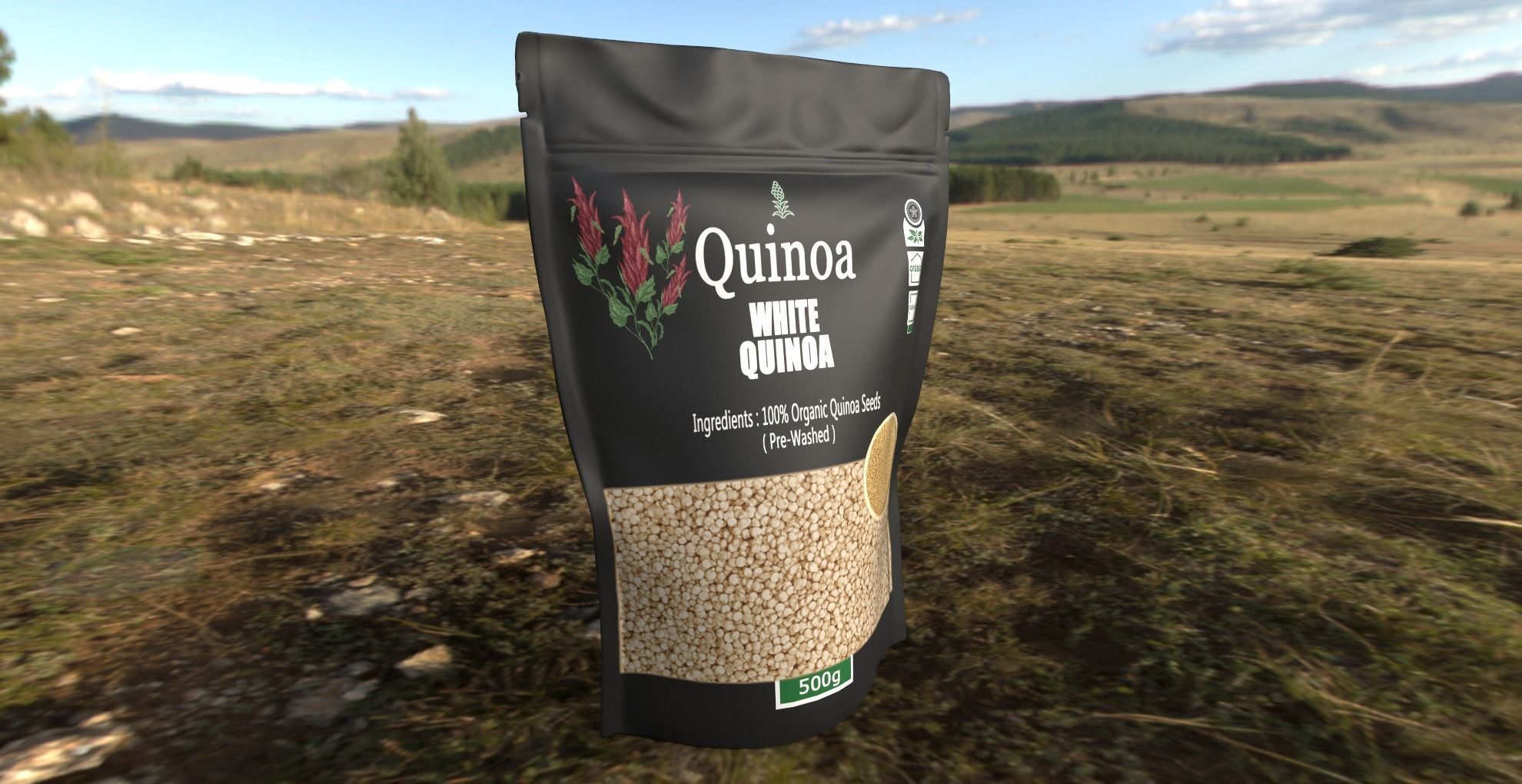 Quinoa Low-poly 3D model_8