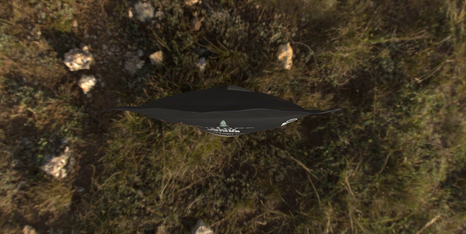 Quinoa Low-poly 3D model_7