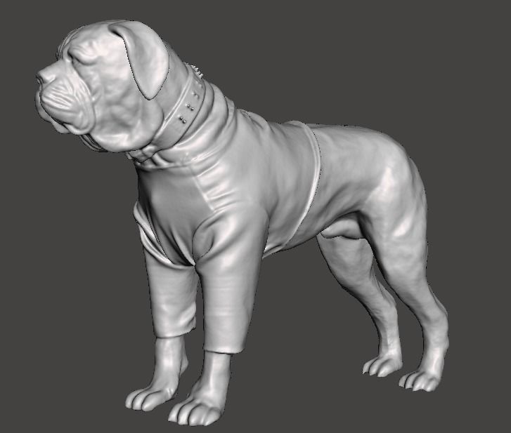 Butkus Rocky 3D print model_3