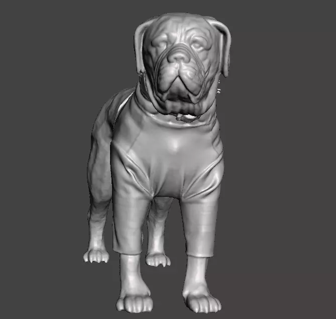 Butkus Rocky 3D print model_0