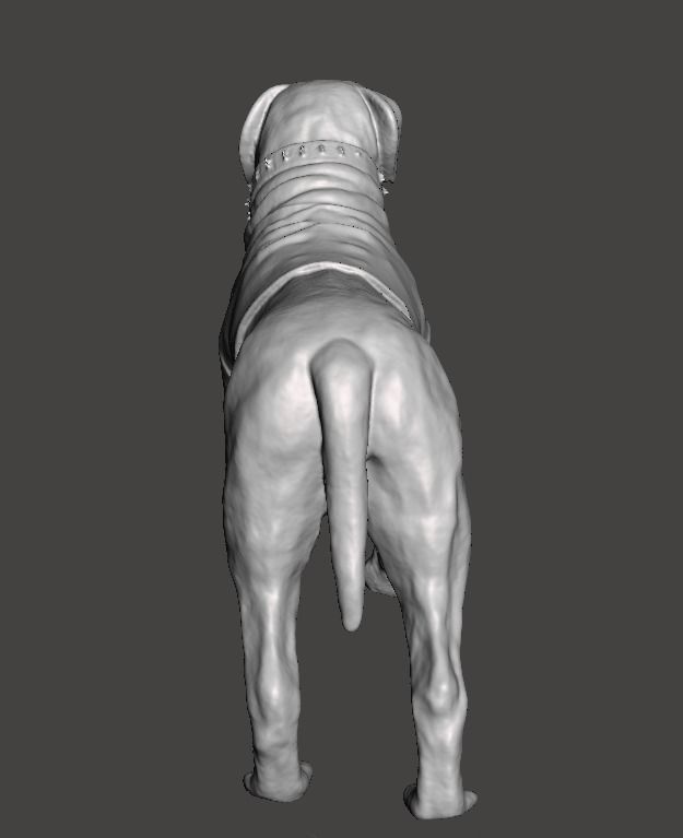 Butkus Rocky 3D print model_2