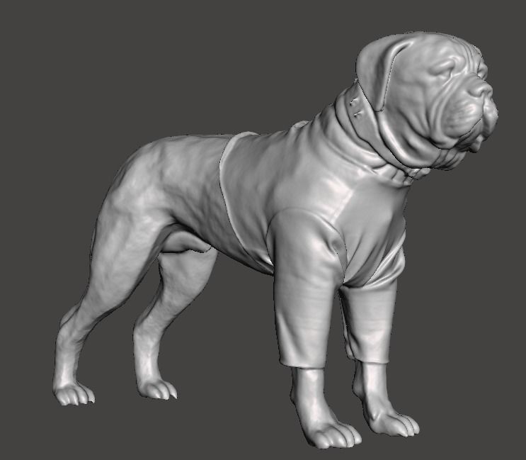 Butkus Rocky 3D print model_1