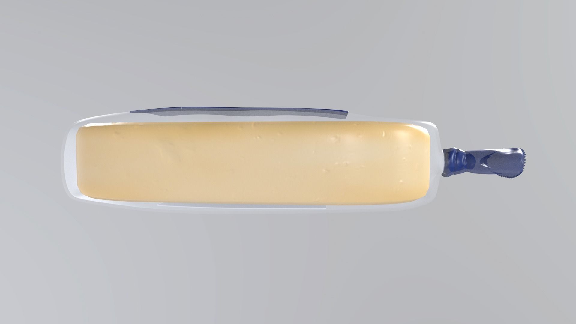 ProvoloneCheese Low-poly 3D model_5