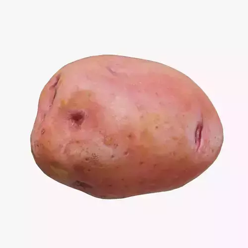 Red Potato Scan Low Poly