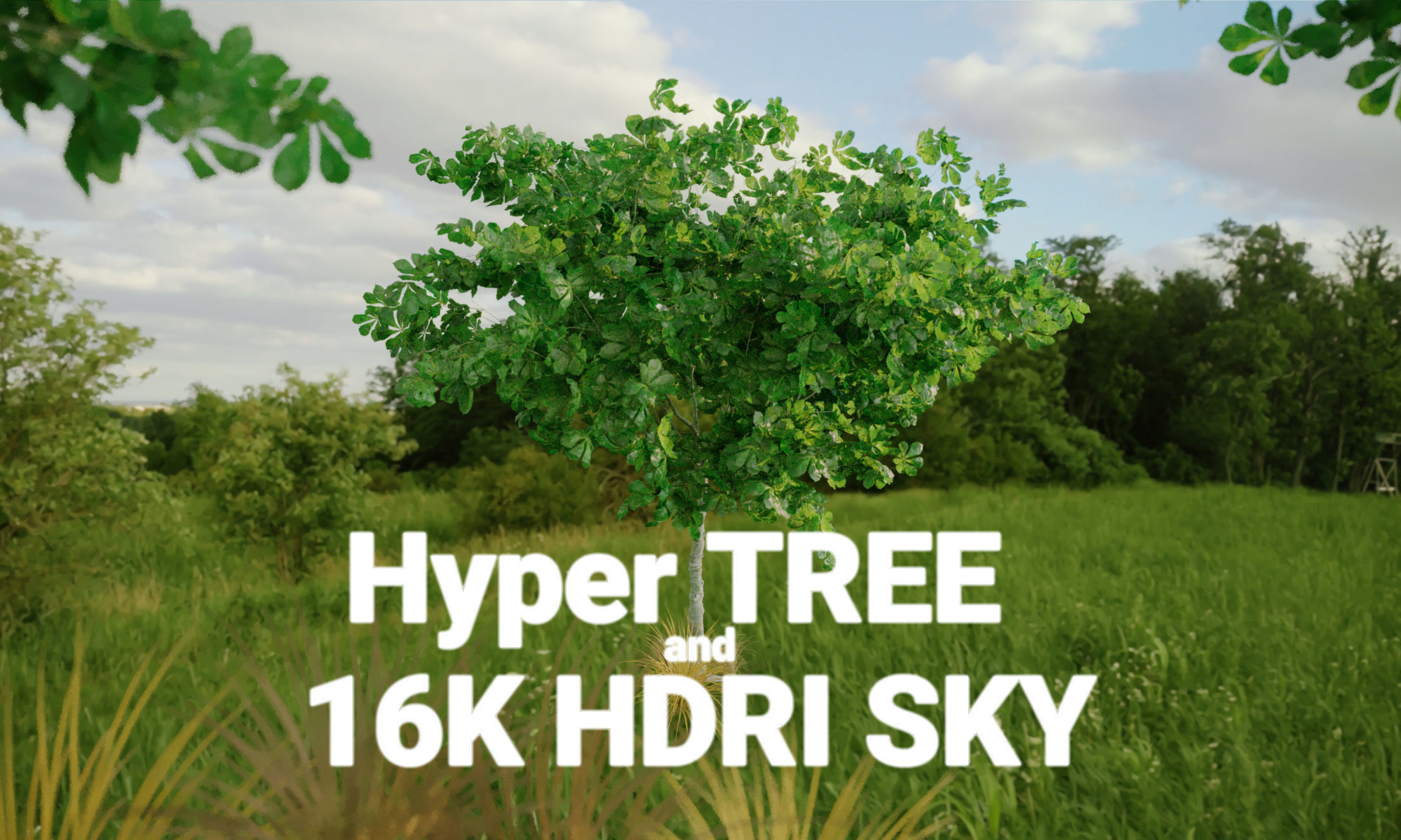 Boy and Big Sharp Moss Rocks 3D Model Collection_46