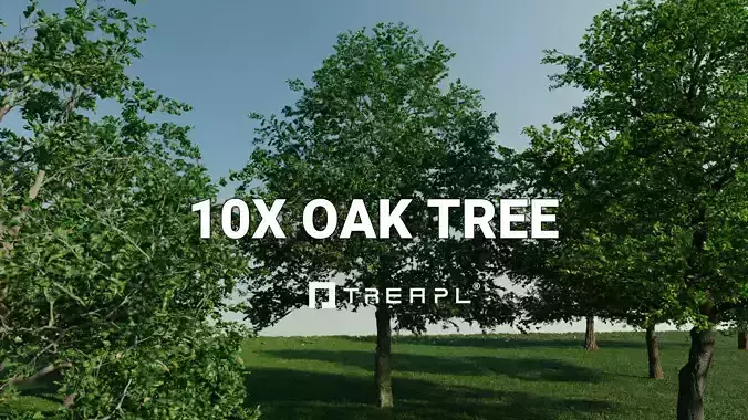 10X Oak tree Quercus Robur