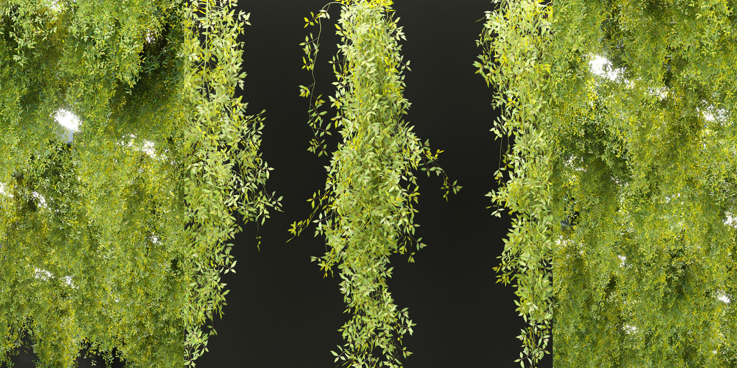 Hanging plants collection vol 248-Blender 3D model_2
