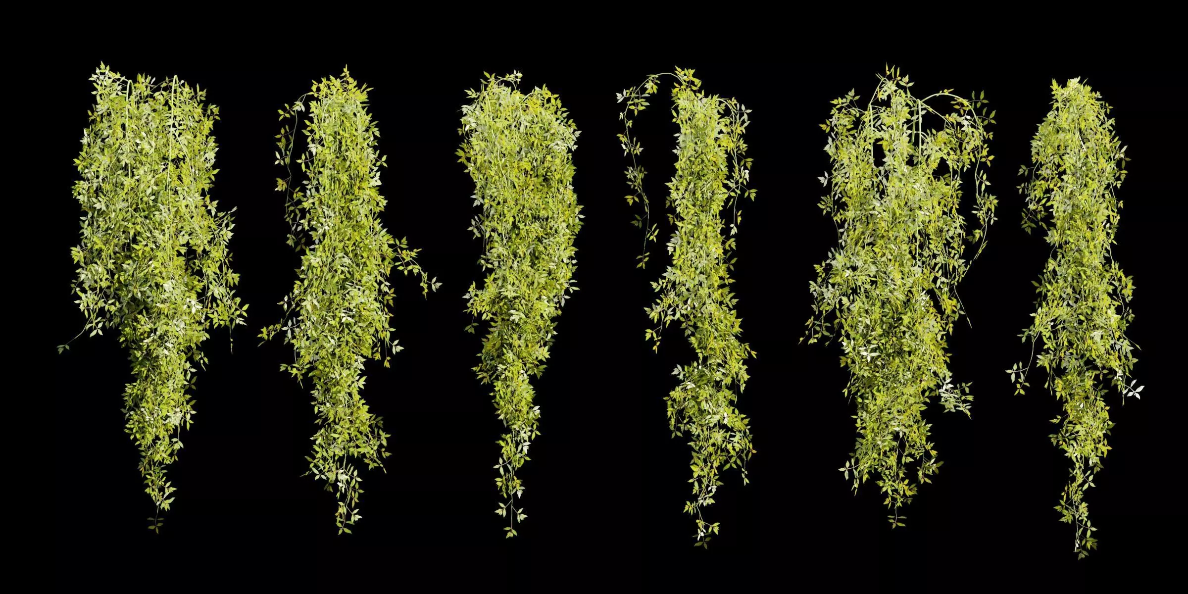 Hanging plants collection vol 248-Blender 3D model_0