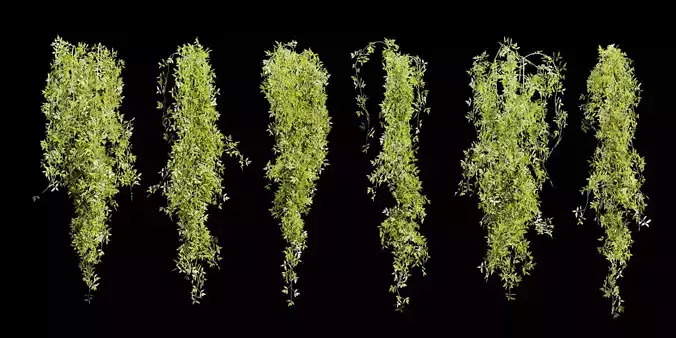 Hanging plants collection vol 248-Blender