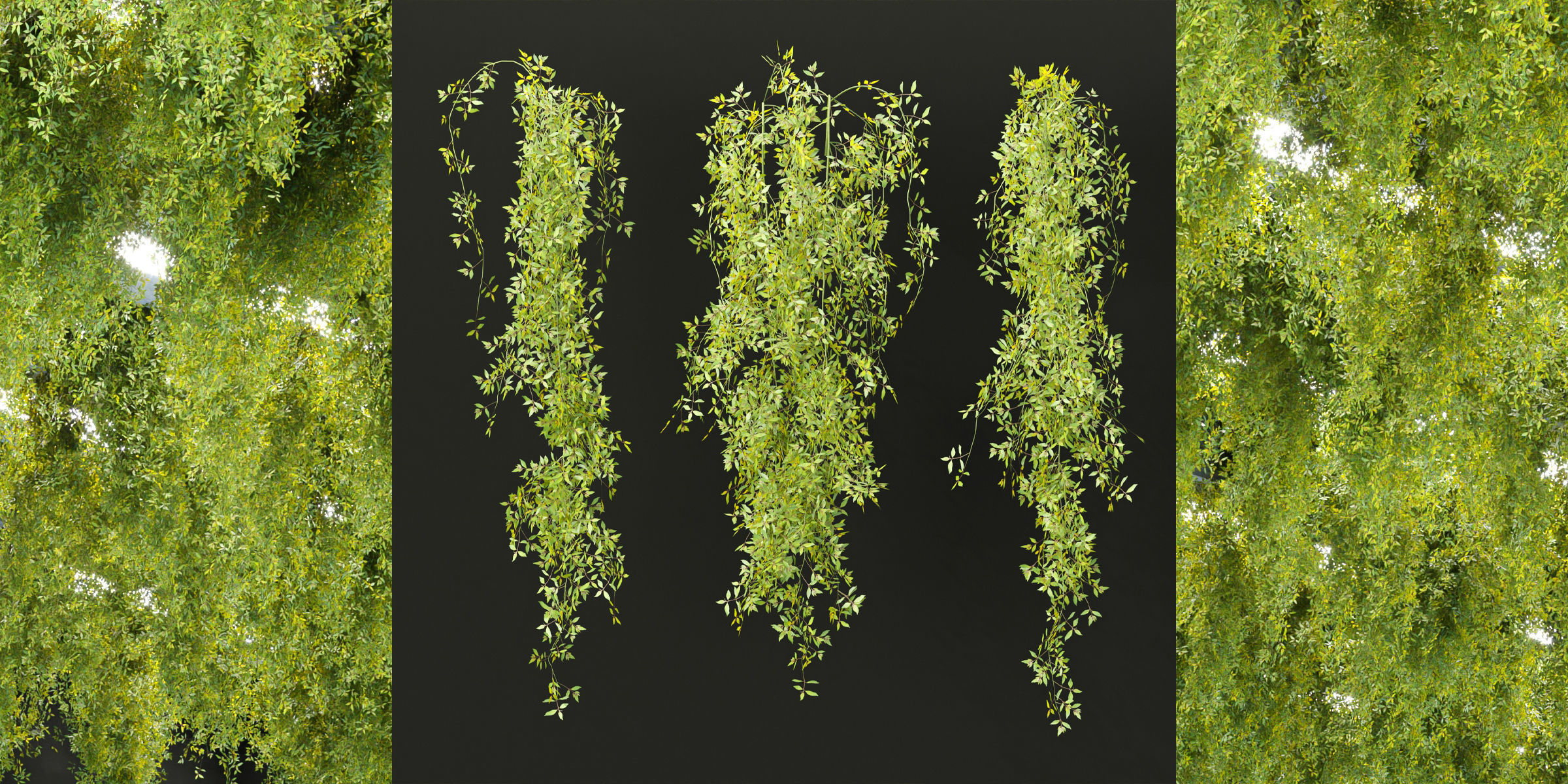 Hanging plants collection vol 248-Blender 3D model_1