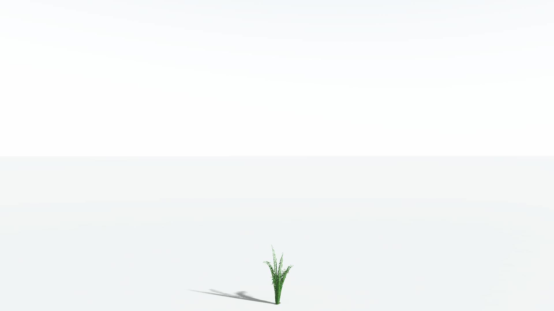 EVERYPlant Seashore Palm 1 --12 Models-- 3D model_20
