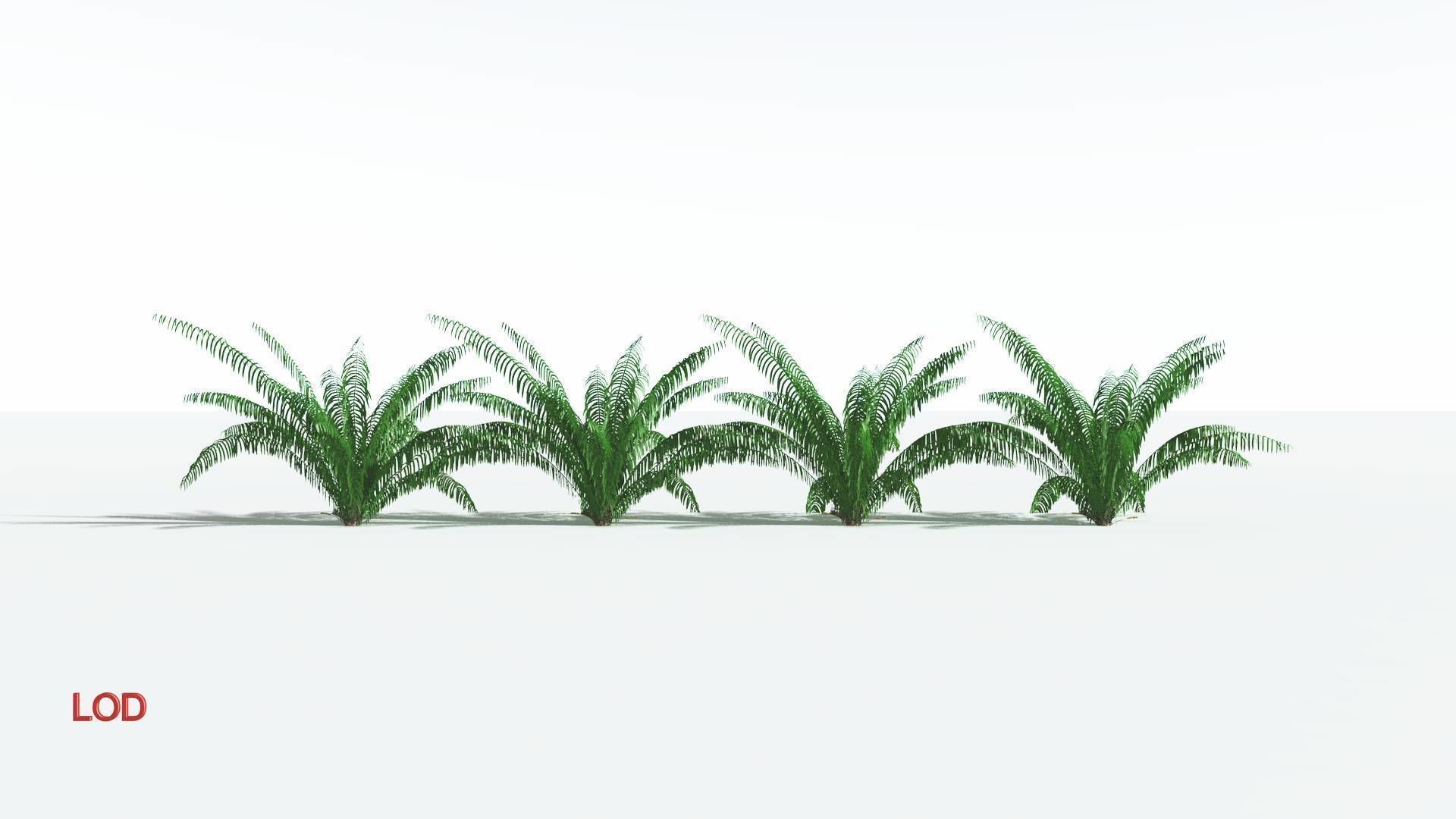 EVERYPlant Seashore Palm 1 --12 Models-- 3D model_3