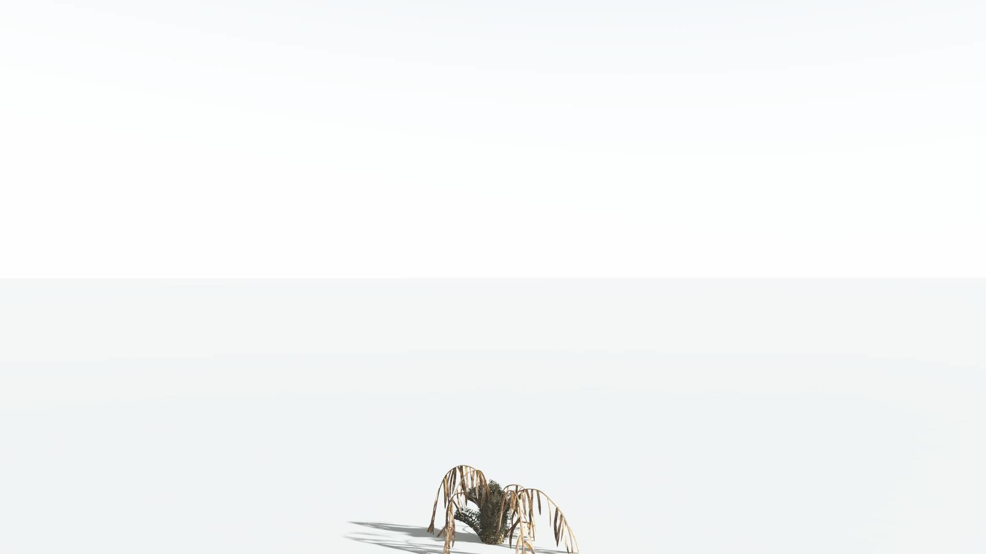 EVERYPlant Seashore Palm 1 --12 Models-- 3D model_12