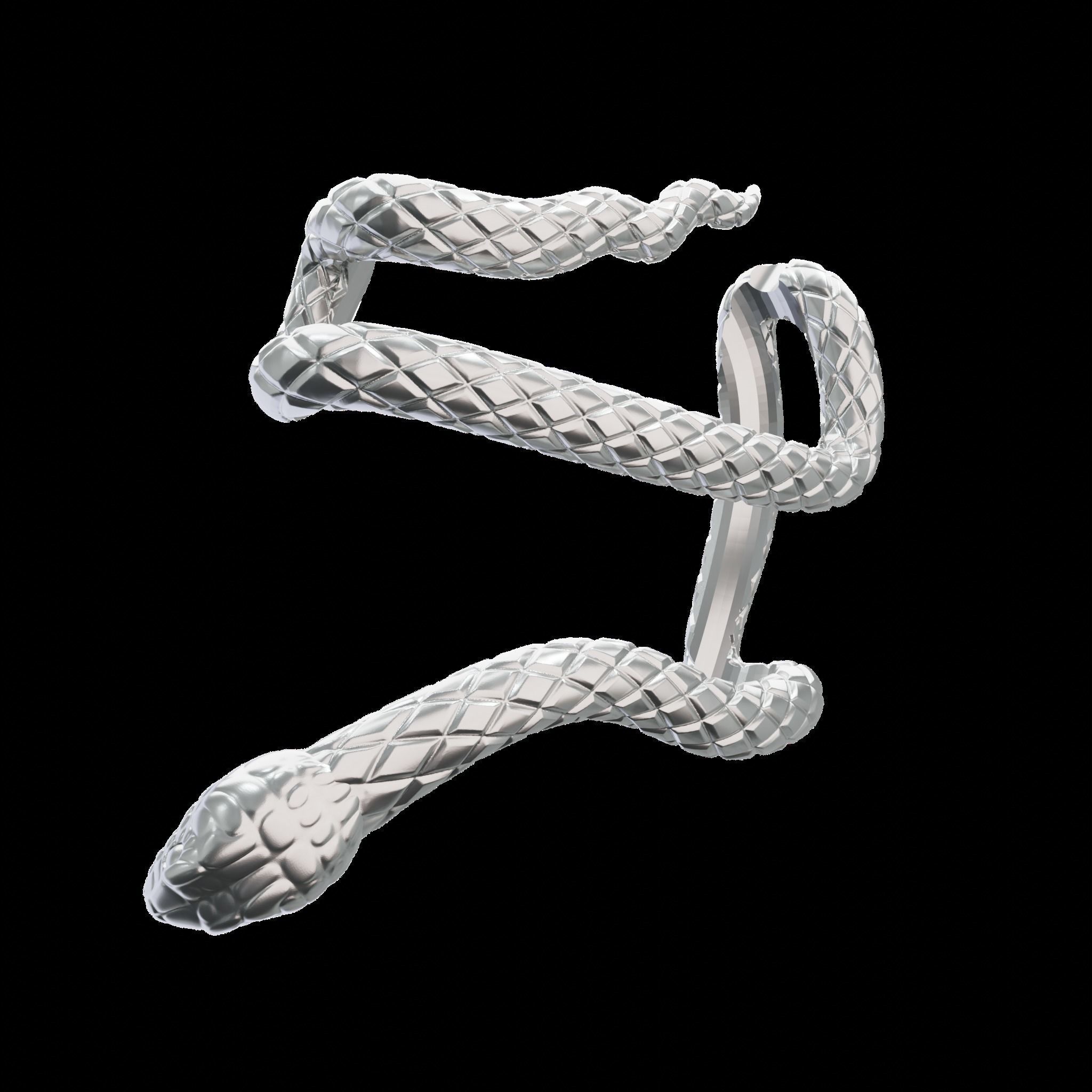 Airpods Max Attachments Serpent 3D print model_8