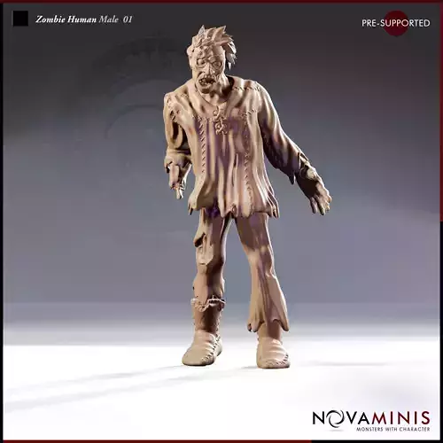 Zombie Human Male 01 3D print model