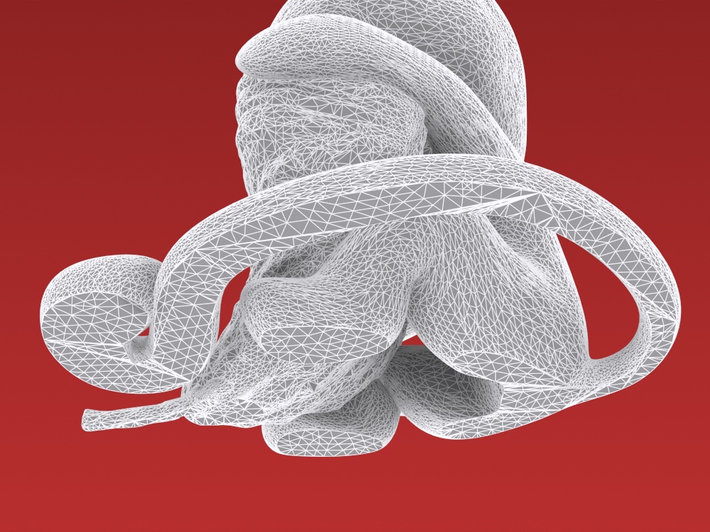 Cat s Wool Heart 3D print model_5