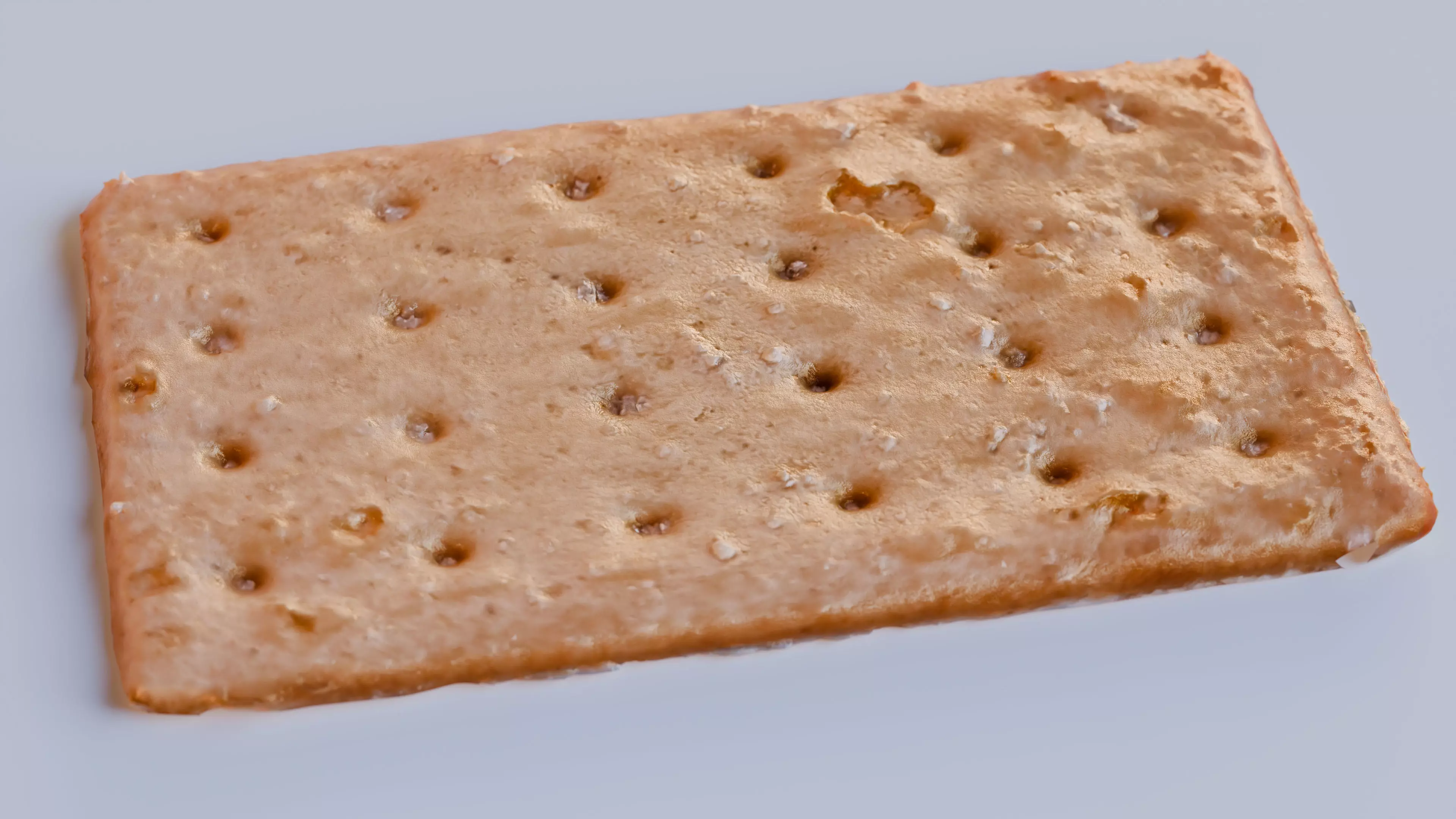 Biscuit Free 3D model