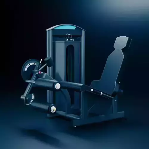 TRUE LAG EXTENSION SD 1000