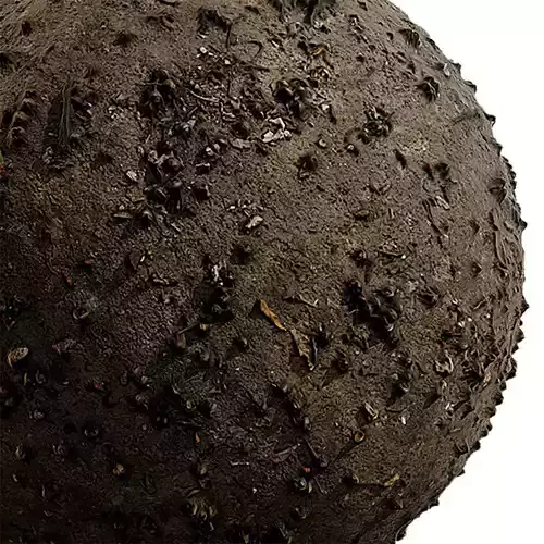 Concrete Seamless Texture 2K - EXR 5 - JPG 5 Texture