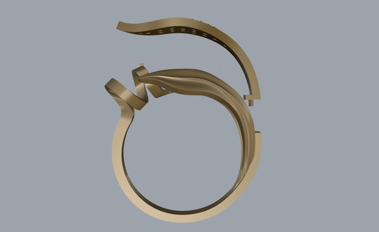 R 106 Leafe style ring 3D print model_14