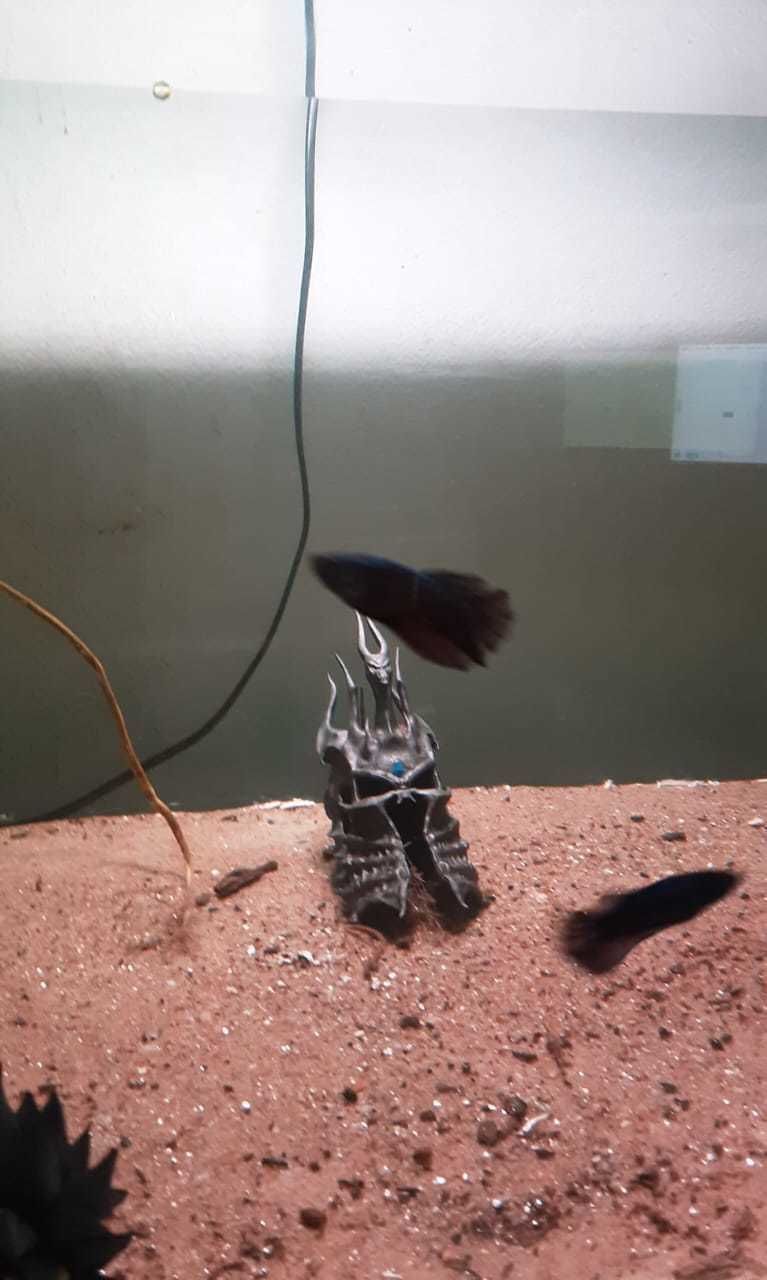 Helm of Domination Lich King World of Warcraft wow LK 3D print model_4