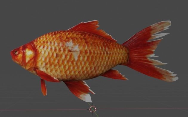 fish1 3D model_1