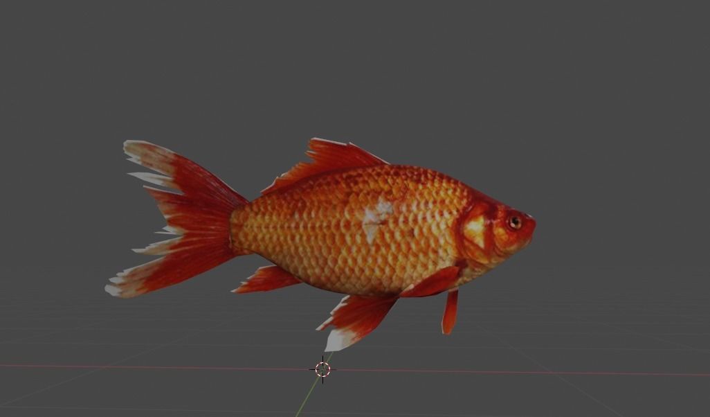fish1 3D model_2