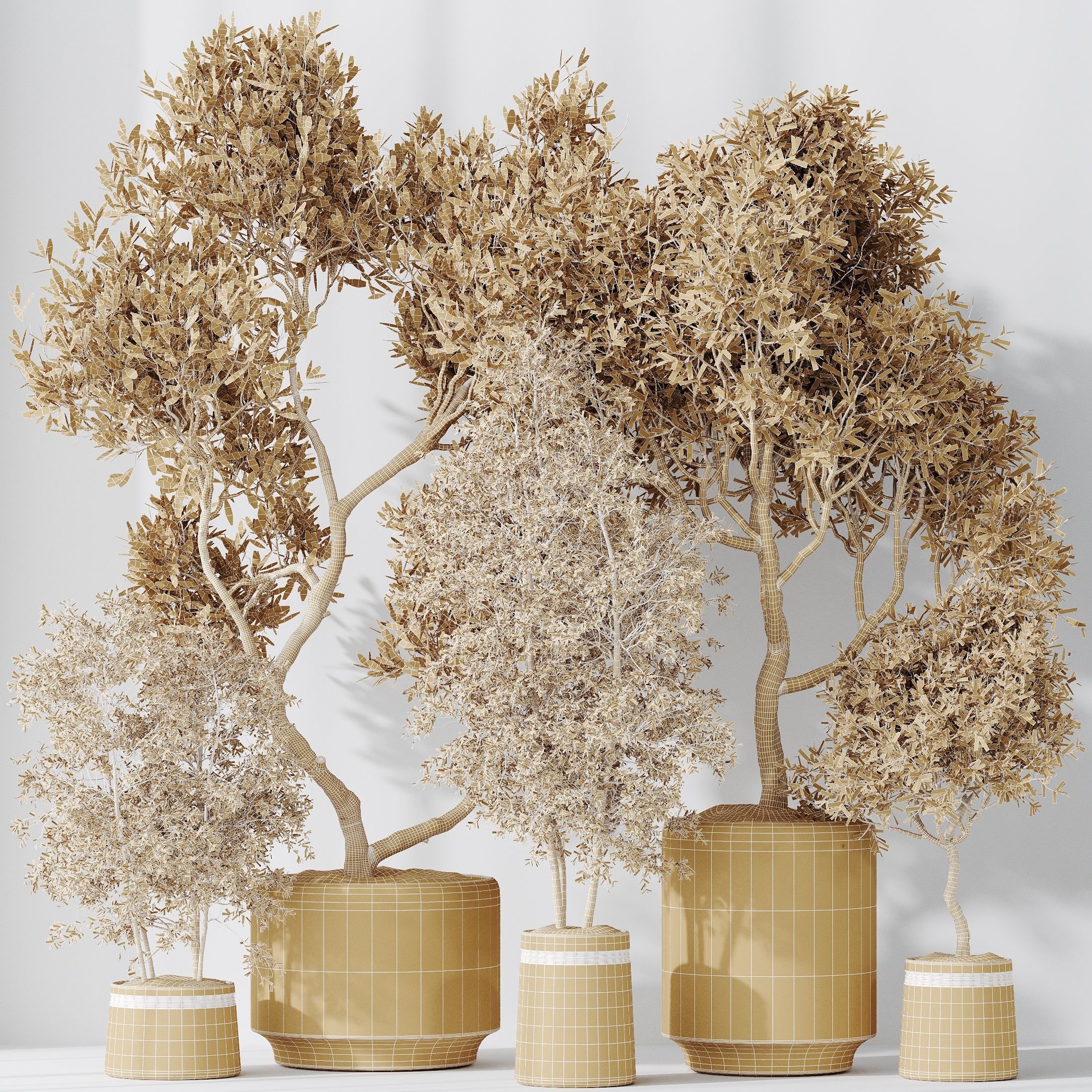 Indoor plant set 62 3D model_5