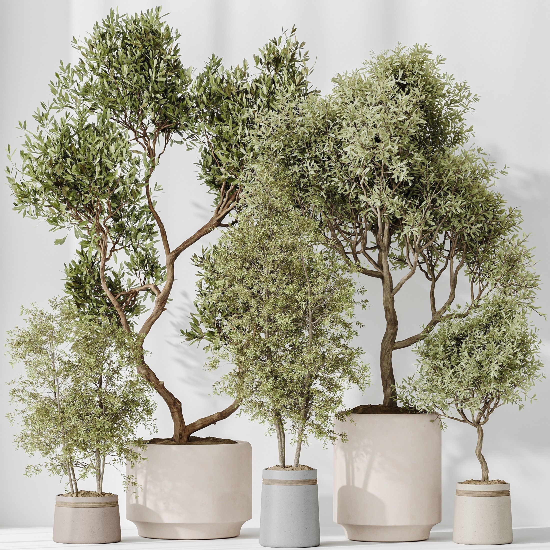 Indoor plant set 62 3D model_1