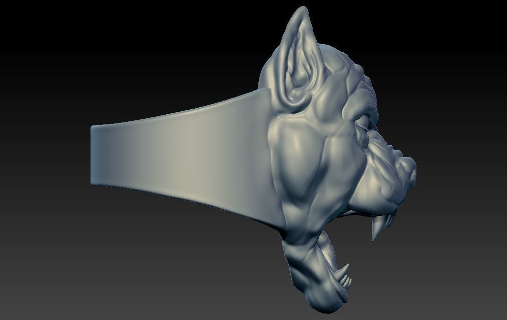 Bull Dog 3d Ring Hollow and Solid 2 Versions Available 3D print model_2