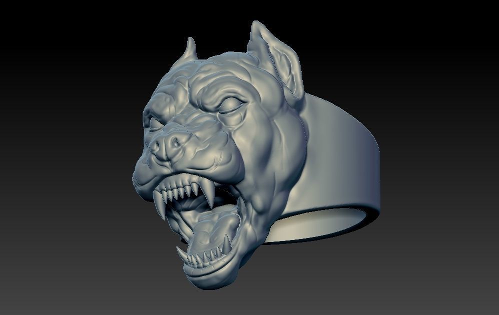 Bull Dog 3d Ring Hollow and Solid 2 Versions Available 3D print model_1