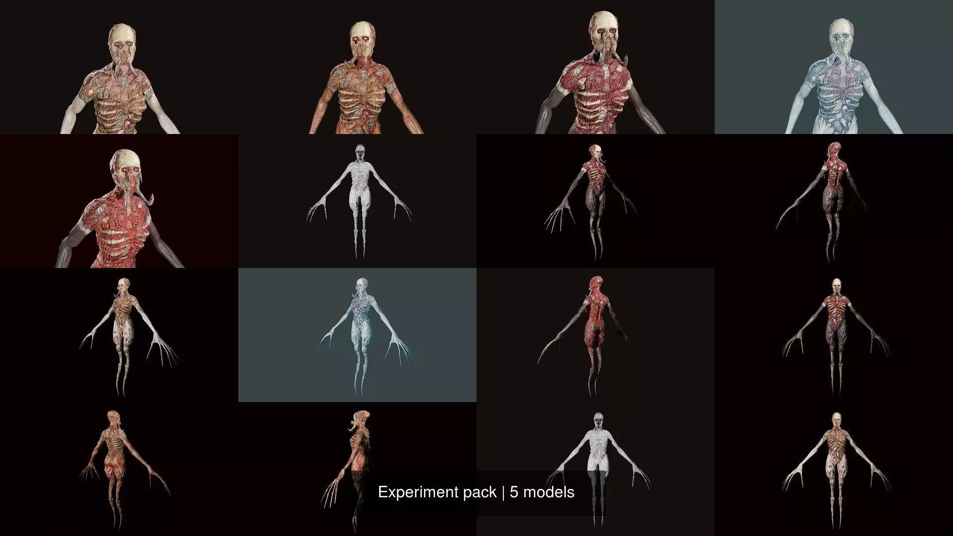Experiment pack 3D Model Collection_1
